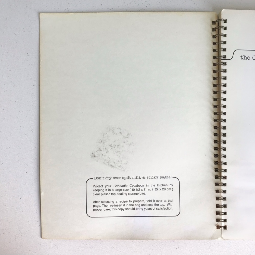 Vintage 90s Rare Caboodle Cookbook by Jay & Lisa Cestnik - Picture 2 of 11